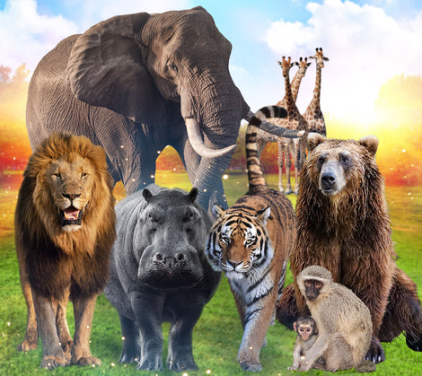 Animal Jewelry