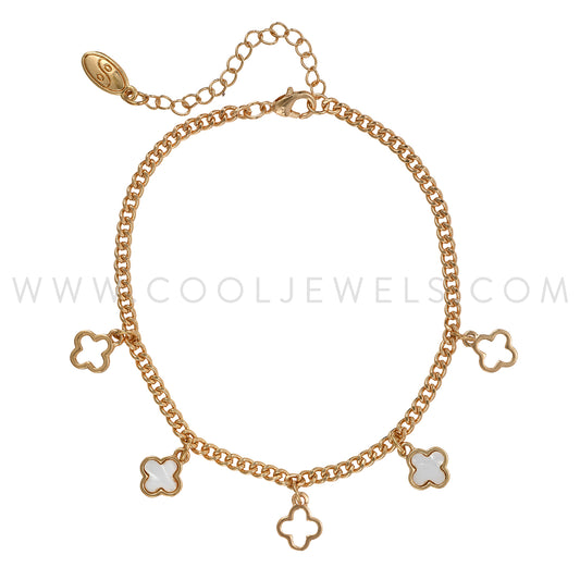 8904-CL-BR