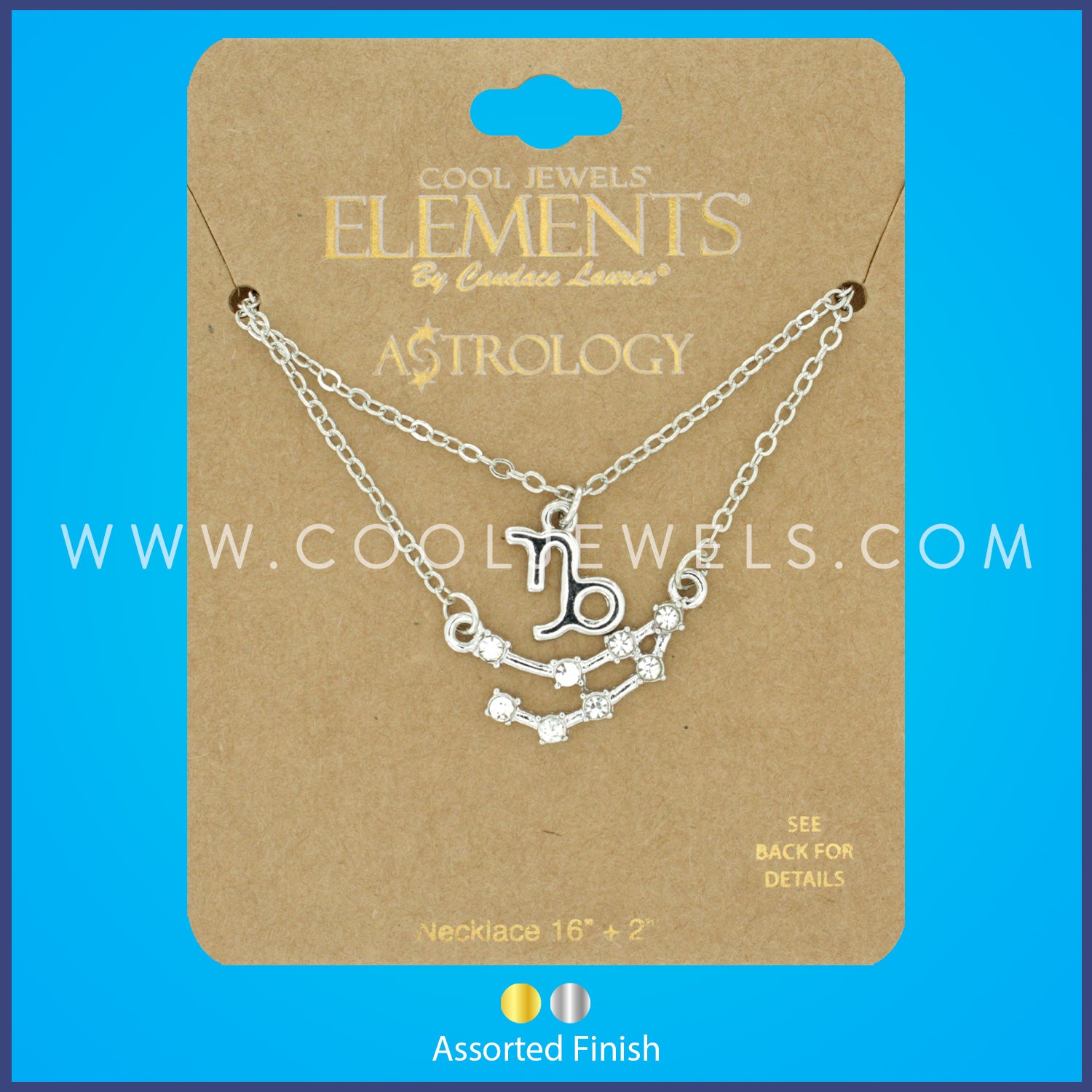 (SET OF 2) LINK CHAIN NECKLACE WITH CAPRICORN SYMBOL &amp; CONSTELLATION - CARDED